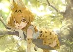  1girl :d animal_ear_fluff animal_ears bangs boots bow bowtie chin_rest commentary day elbow_gloves extra_ears eyebrows_visible_through_hair gloves hair_between_eyes in_tree kemono_friends looking_at_viewer mossi nature open_mouth outdoors print_bow print_gloves print_legwear print_neckwear serval_(kemono_friends) serval_ears serval_print serval_tail smile solo tail thighhighs tree tree_branch white_footwear yellow_eyes 