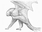  ambiguous_gender black_and_white claws dragon feral fur membrane_(anatomy) membranous_wings monochrome raised_wing ramul scratching_head simple_background solo teeth white_background wings wyvern 