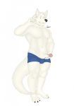  anthro canid canine canis clothing erection ethan_(kodiak079) fur genitals greykenny_wolfz_(artist) hi_res holding_penis kodiak079 male mammal muscular muscular_male penis simple_background smile solo swimwear white_background white_body white_fur wolf yellow_eyes 