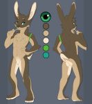 absurd_res anthro big_ears brown_body brown_fur featureless_crotch feve front_view fur hi_res lagomorph leporid male mammal model_sheet natural_colors neck_tuft pencil_(object) rabbit rear_view russec solo standing tan_body tan_fur tuft 