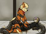  anthro anthro_on_anthro arcanine ariffrazalin bodysuit canid canine clothing covering duo feces fennec fox knedit male male/male mammal nintendo pok&eacute;mon pok&eacute;mon_(species) rubber rubber_suit scat simple_background skinsuit tight_clothing tube video_games 
