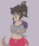  anthro black_nose bottomwear breasts clothed clothing crossed_arms female grey_clothing grey_shirt grey_topwear hair hi_res looking_at_viewer lutrine mammal monotone_hair mr-shin multicolored_bottomwear multicolored_clothing multicolored_shirt multicolored_topwear mustelid navel river_otter shirt shorts tied_shirt topwear two_tone_bottomwear two_tone_clothing two_tone_shirt two_tone_shorts two_tone_topwear 