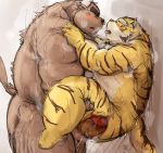  2020 absurd_res anal anal_penetration anthro belly blush bodily_fluids bovid bovine brown_body brown_fur butt cattle duo eyes_closed felid fur hi_res kemono kotobuki male male/male mammal overweight overweight_male pantherine penetration sex sweat tiger tongue tongue_out yellow_body yellow_fur 