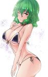  1girl bangs bare_arms bare_shoulders bikini black_bikini breasts commentary_request cowboy_shot eyebrows_visible_through_hair green_hair hair_between_eyes hand_up highres kazami_yuuka large_breasts looking_at_viewer parted_lips red_eyes short_hair simple_background solo standing stomach swimsuit thighs touhou white_background y2 