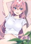  1girl :d absurdres arm_up bangs blue_eyes blurry blurry_foreground blush breasts brown_background commentary_request depth_of_field eyebrows_behind_hair flower hair_between_eyes hand_up heremia highres medium_breasts megurine_luka navel open_mouth pink_hair round_teeth shirt shirt_lift short_sleeves smile solo teeth upper_body upper_teeth vocaloid white_flower white_shirt 