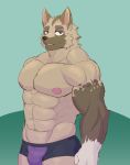  abs animal_crossing anthro anthrofied black_clothing black_nose black_underwear brown_body brown_fur bulge canid canine canis clothed clothing eyebrows fur hi_res kyle_(animal_crossing) looking_at_viewer male mammal muscular muscular_male nintendo nipples open_mouth pecs pink_nipples simple_background solo topless tsukigata_rossi underwear video_games wolf 
