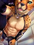  3:4 after_shower anthro black_nose bulge cheetah cheetahpaws collar fangs felid feline fur hi_res male mammal nipples shower solo spots water wet wet_body wet_fur whiskers 