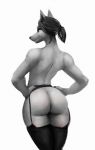  anthro butt canid canine clothing female garter_belt garter_straps greyscale hair hakkq hands_on_hips legwear mammal monochrome ponytail portrait rear_view simple_background solo stockings tailless three-quarter_portrait white_background 