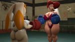  16:9 3d_(artwork) american_viking anthro big_breasts big_butt boxing boxing_gloves bra breasts butt canid canine catfight clothing digital_media_(artwork) disney felid female fighting_ring goof_troop handwear hi_res lagomorph larger_female leporid mammal mature_female panties peg_pete rabbit size_difference smaller_female smile sonic_the_hedgehog_(series) source_filmmaker sport thick_thighs underwear unknown_species vanilla_the_rabbit widescreen 