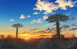  absurdres baobab grass highres nature no_humans original outdoors pei_(sumurai) rock scenery sky sunset tree 