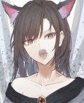  1girl animal_ear_fluff animal_ears bangs brooch brown_eyes brown_hair dress eyebrows_visible_through_hair eyes_visible_through_hair fangs hegata_(hegatia_lapis) highres imaizumi_kagerou jewelry long_hair looking_at_viewer off-shoulder_dress off_shoulder open_mouth touhou upper_body white_dress wolf_ears 