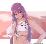  1girl alternate_costume bikini breasts cloud cloudy_sky dated fate/grand_order fate_(series) highres large_breasts lips purple_hair red_eyes scathach_(fate)_(all) scathach_skadi_(fate/grand_order) sky smile solo sunset swimsuit zumizu 