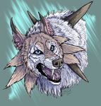  2017 ambiguous_gender blue_eyes canid canine cheek_tuft facial_tuft fur headshot_portrait hi_res inner_ear_fluff lycanroc mammal midday_lycanroc nintendo open_mouth pink_inner_ear pok&eacute;mon pok&eacute;mon_(species) portrait sharp_teeth signature solo spikes teeth tongue tuft video_games vorpalbeasta whiskers white_body white_fur 
