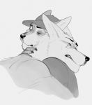  absurd_res anthro baseball_cap black_nose bodily_fluids bust_portrait canid canine canis clenched_teeth clothing crying duo eyebrows eyes_closed frown half-closed_eyes hat headgear headwear hi_res hug male male/male mammal narrowed_eyes portrait repzzmonster shirt simple_background tears teeth topwear white_background wolf 