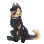  1:1 armored_vest bearlyfeline black_body black_fur black_pawpads bodily_fluids canid canine canis claws collar domestic_dog drooling fangs feral fur german_shepherd herding_dog hi_res male mammal open_mouth pastoral_dog pawpads police_dog saliva sitting solo tan_body tan_fur tongue tongue_out 