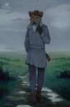  anthro brown_body brown_fur brown_hair clothed clothing day detailed_background dieselwiesel footwear fur grass hair hi_res male outside raining shoes sky solo standing volcanins 
