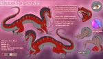  absurd_res asian_mythology barbel_(anatomy) character_name claws dragon east_asian_mythology eastern_dragon english_text erection feral flesh_whiskers genitals grey_body grey_tail hi_res libra-11 male model_sheet mythology nude open_mouth penis quadruped red_body red_tail red_tongue sharp_teeth teeth text tongue 