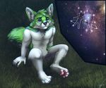  anthro canid canine constellation constellations depressing digital_media_(artwork) fidget_the_fox fox fur glowing glowing_background grass green_body green_eyes green_fur hair hi_res male mammal sad sitting sitting_on_grass sitting_on_ground sky solo star star_light starry_sky tatujapa white_body white_fur 