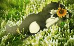  16:10 absurd_res anthro breasts canid canine canis chest_tuft female flower hi_res mammal nude outside plant sia_(ebonycrowned) solo sunflower sylviajo tuft widescreen wolf yellow_eyes 