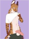  3:4 anthro balls canid canine clothing erection felid feline finn_heartlin fur genitals hi_res hybrid jaguar knot male mammal maned_wolf nadacheruulewd nipples pantherine penis pinup pose rosettes seductive simple_background solo 