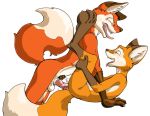  anal anal_penetration anthro bodily_fluids brother brothers canid canine cum cum_inside fox foxxfire genital_fluids incest_(lore) male male/male mammal penetration sex sibling teenager tween young 