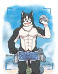  anthro barazoku barely_visible_genitalia barely_visible_penis black_nose bulge canid canine canis clothing domestic_dog duo genitals hi_res humanoid_hands kemono male mammal muscular nekodon_san nipples outside penis swimwear water 