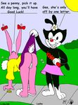  animaniacs babs_bunny dot_warner kthanid tiny_toon_adventures 