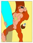  donkey_kong donkey_kong_country funky_kong ramsey276 tagme 