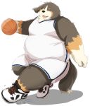  2020 absurd_res anthro ball basketball basketball_(ball) basketball_shorts basketball_uniform belly bernese_mountain_dog black_body black_fur bottomwear brown_body brown_fur canid canine canis clothing domestic_dog fur hi_res kemono male mammal molosser mountain_dog noctnoc one_eye_closed overweight overweight_male shirt shorts simple_background solo sportswear swiss_mountain_dog tongue tongue_out topwear uniform white_background white_body white_fur wink 