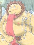  2020 3:4 anthro asian_clothing balls belly blush clothing dain_4201 east_asian_clothing felid fundoshi genitals hi_res japanese_clothing japanese_text kemono lion male mammal moobs nipples overweight overweight_male pantherine penis solo text underwear 