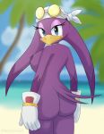  anthro avian beach beak big_butt bird butt eyelashes feathers female hi_res hirundinid honeycloud looking_at_viewer looking_back nude purple_body purple_feathers seaside solo sonic_riders sonic_the_hedgehog_(series) summer swallow_(bird) tail_feathers video_games wave_the_swallow 