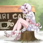  1girl animal_ears ankle_ribbon between_legs bloomers brown_eyes dress eyebrows_visible_through_hair eyes_visible_through_hair full_body gloves gradient gradient_legwear hair_ornament hairclip hand_between_legs high_heels highres japari_symbol kemono_friends looking_at_viewer neck_ribbon outdoors pig_(kemono_friends) pig_ears pig_tail pink_hair pink_legwear pink_ribbon puffy_short_sleeves puffy_sleeves ribbon shoe_dangle short_hair short_sleeves sitting smile solo tail tanabe_(fueisei) thighhighs tree_stump underwear white_bloomers white_dress white_gloves white_legwear 