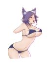  1girl absurdres animal_ears bikini blue_bikini blush breasts brown_eyes cleavage dawn_(664387320) drooling highres makoto_(princess_connect!) navel open_mouth princess_connect! princess_connect!_re:dive purple_hair solo swimsuit tongue wolf_ears 