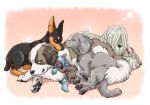  2020 aggrey_(ayaka) ambiguous_gender ayaka canid canine canis cecilio_(ayaka) chinese_crested_dog dobermann domestic_dog dred_(ayaka) ear_piercing ear_ring feral gilbert_(ayaka) group hairless hairless_dog hungarian_sheepdog kaiser_(ayaka) livestock_guardian_dog mammal molosser mountain_dog pastoral_dog piercing pinscher pyr&eacute;n&eacute;en_mastiff toy_dog weimaraner 