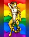  4:5 anthro bedding blanket dolar felid flaccid flag genitals hi_res jewelry lgbt_pride male mammal necklace nude pantherine penis pride_colors sleeping small_penis solo tiger uncut 