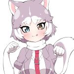  1girl :3 animal_ears blush breasts closed_mouth collar dog_(mixed_breed)_(kemono_friends) dog_ears dog_girl dog_tail elbow_gloves eyebrows_visible_through_hair gloves grey_hair heterochromia highres kemono_friends large_breasts looking_at_viewer paw_pose short_hair short_sleeves smile solo tail takosuke0624 tongue tongue_out upper_body white_gloves white_hair 