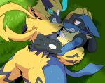  3_fingers 4_fingers angry anthro blue_eyes blush bodily_fluids butt clenched_teeth constricted_pupils day detailed_background duo ears_back embrace eye_contact fight fingers fur handpaw head_grab hi_res high-angle_view kai11k legendary_pok&eacute;mon looking_at_another lucario lying male nintendo on_back on_grass on_ground outside paws pivoted_ears pok&eacute;mon pok&eacute;mon_(species) pupils red_eyes shadow slim small_pupils spread_legs spreading sweat tan_body tan_fur teeth video_games wrestling yellow_body yellow_fur zeraora 