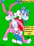  babs_bunny buster_bunny kthanid tiny_toon_adventures warner_brothers 