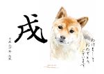  akeome animal_focus chinese_zodiac dated dog happy_new_year head_tilt horikou looking_at_viewer new_year no_humans original realistic shiba_inu signature simple_background solo translation_request white_background year_of_the_dog 