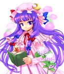  bad_id bad_pixiv_id book bt_(shio_oninko) crescent hat highres long_hair patchouli_knowledge purple_eyes purple_hair solo touhou 