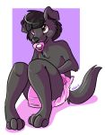 2012 anthro black_body black_fur black_hair black_nose brown_eyes canid canine canis chest_tuft clothed clothing diaper digital_media_(artwork) domestic_dog fur hair kalida looking_up male mammal pacifier simple_background sitting smile solo tuft young zulu 