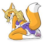  2011 anthro black_nose blonde_hair canid canine clothing diaper diaper_under_clothing dipstick_tail fox fur hair kalida kneeling long_hair looking_at_viewer mammal multicolored_tail open_mouth orange_body orange_fur pawpads pink_pawpads simple_background solo swimwear two-piece_swimsuit white_background white_body white_fur 