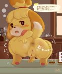  2020 4_fingers absurd_res alcohol alternate_version_at_source animal_crossing anthro anus beverage blush bottomless canid canine canis check_translation clothed clothing crouching dialogue dipstick_tail domestic_dog drunk female fingers fur genitals hi_res inside isabelle_(animal_crossing) japanese_text looking_at_viewer looking_back mammal multicolored_tail nintendo presenting presenting_anus presenting_pussy pussy sake_kemosalmon shih_tzu signature simple_eyes solo sound_effects spread_anus spreading substance_intoxication text topwear toy_dog translated video_games yellow_body yellow_fur 
