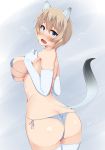  1girl animal_ears ass bikini blonde_hair blue_bikini blue_eyes blush brave_witches breasts elbow_gloves ermine_tail from_behind gloves highres looking_at_viewer looking_back medium_breasts micro_bikini nikka_edvardine_katajainen nksk shiny shiny_hair shiny_skin short_hair simple_background solo standing swimsuit tail thighhighs weasel_ears weasel_tail white_background white_gloves white_legwear world_witches_series 