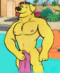  2020 4_fingers anthro athletic athletic_anthro athletic_male big_pecs bird_dog body_hair bojack_horseman canid canine canis chest_tuft clothed clothing colored convenient_censorship detailed_background domestic_dog ears_down edit ethancostas eyebrows eyewear fingers flirting floppy_ears fur furniture happy_trail holding_towel hunting_dog labrador male mammal mostly_nude mr._peanutbutter neck_fur netflix no_underwear pecs pivoted_ears plant pool_float raised_eyebrow retriever smile snout sofa solo solo_focus sunglasses swimming_pool tongue tongue_out topless towel tuft water 