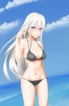 1girl absurdres azur_lane bare_shoulders bikini black_bikini blue_eyes blue_sky breasts cleavage collarbone enterprise_(azur_lane) hand_up highres long_hair looking_at_viewer navel open_mouth silver_hair simple_background sky skyblue small_breasts smile solo stomach swimsuit white_hair 