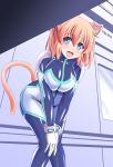  1girl ahoge animal_ears blonde_hair blue_eyes bodysuit breasts cat_ears cat_tail eyebrows_visible_through_hair hands_on_own_knees large_breasts leaning_forward looking_at_viewer open_mouth original pudding_(tonpuu) skin_tight solo tail tonpuu 