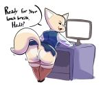  2020 aggressive_retsuko anthro anus butt canid canine clothing computer dialogue english_text female fennec fenneko fox gabbah genitals hi_res legwear looking_back mammal panties presenting pussy samoyena sanrio short_stack solo stockings teasing text thick_thighs underwear 