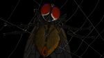  16:9 4k absurd_res arthropod dipteran female hi_res horror_(theme) insect nightmare_fuel solo spider_web teratophile teratophilia widescreen 