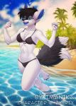  4_toes 5_fingers anthro beach bikini canid canine clothed clothing day detailed_background ear_piercing ear_ring female fingers fox imanika mammal outside piercing sand seaside shoreline sky smile swimwear toes water 